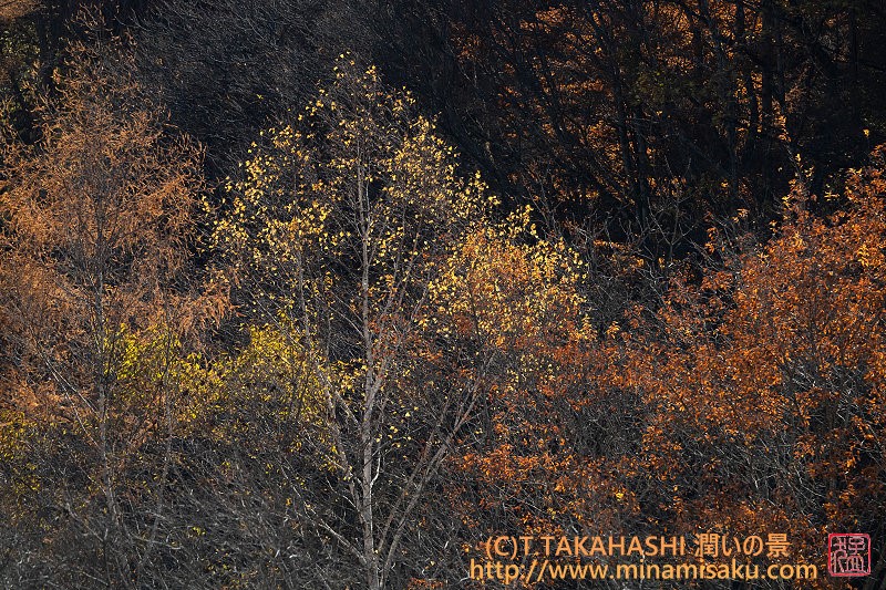 ../Images/7R251115 (148).jpg